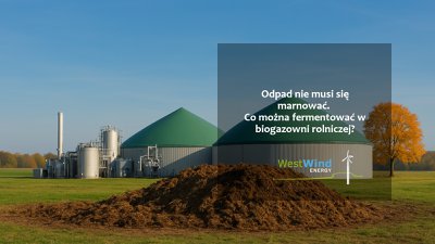 Odpad nie musi się marnować – co można fermentować w biogazowni rolniczej?